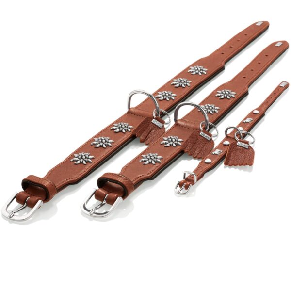 Hunter Halsband München grün/cognac – Bild 3