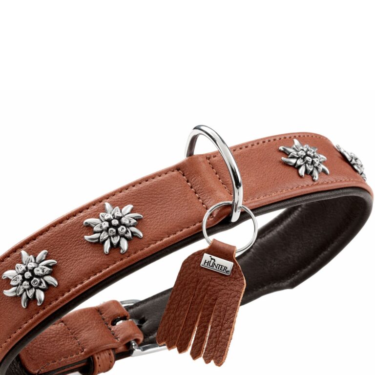 Hunter Halsband Mnchen cognac/schwarz in edler Optik - hundewerk