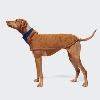 CLOUD7 Hundemantel Brooklyn Waxed Cotton Cyrry – Bild 2