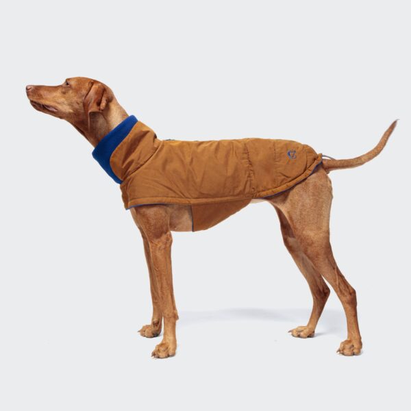 CLOUD7 Hundemantel Brooklyn Waxed Cotton Cyrry – Bild 2
