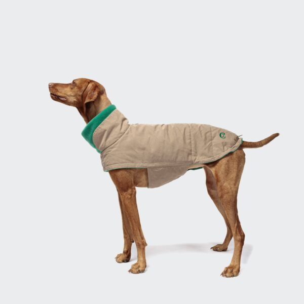 CLOUD7 Hundemantel Brooklyn Waxed Cotton Sand – Bild 2