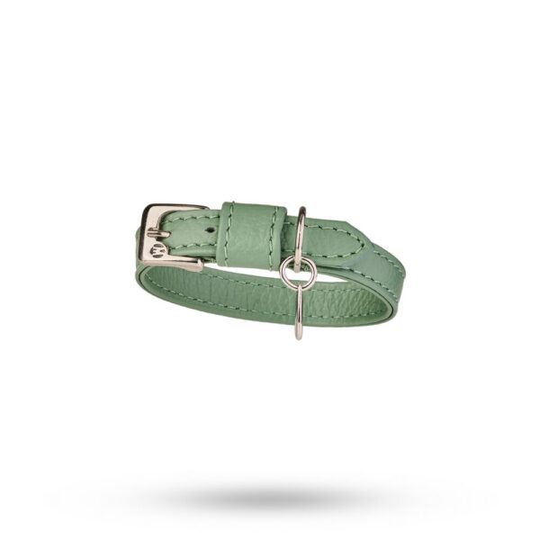 Malucchi Halsband Movie Salvia