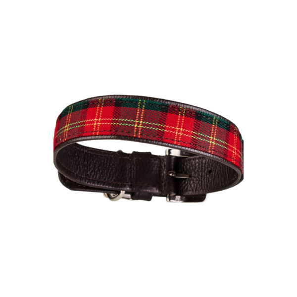 Malucchi Halsband Tartan NEW