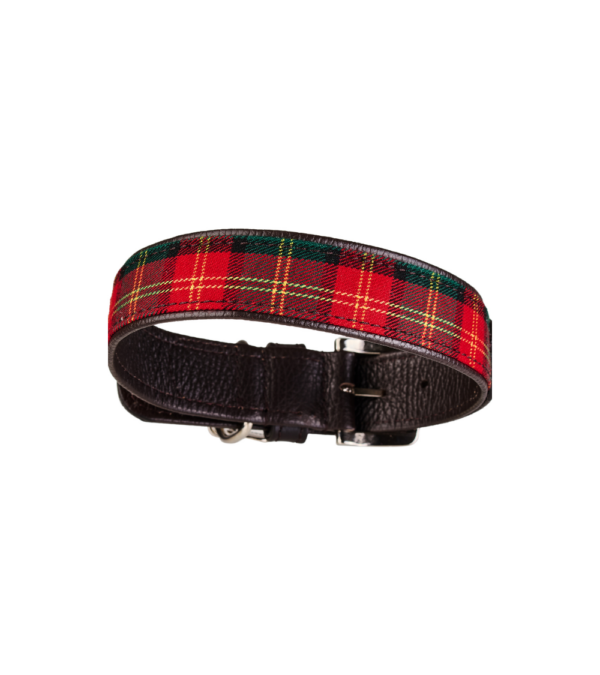 Malucchi Halsband Tartan NEW – Bild 2