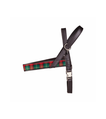 Malucchi Geschirr Tartan NEW XXL – Bild 2