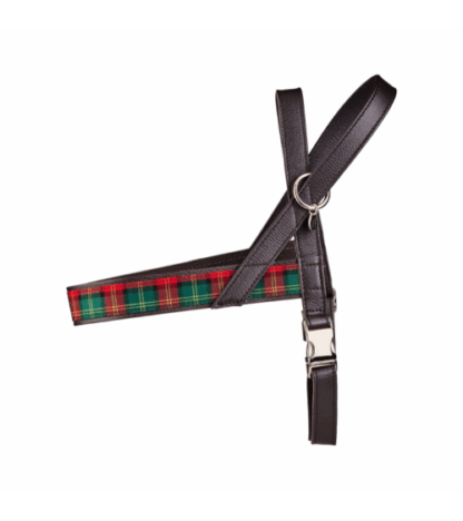 Malucchi Geschirr Tartan NEW XXL
