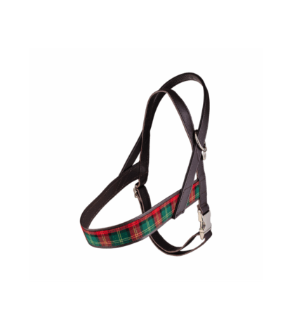 Malucchi Geschirr Tartan NEW XXL – Bild 3