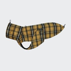 CLOUD7 Hunderegenmantel Glasgow Yellow