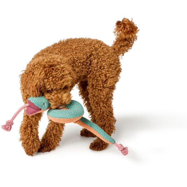 Hundespielzeug Rio Schlange mit Tau 60 cm – Bild 2