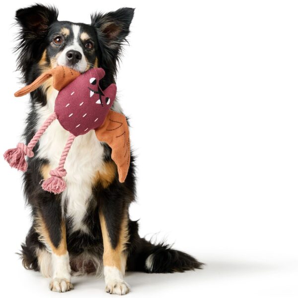 Hundespielzeug Rio Feldermaus mit Tau 25 cm