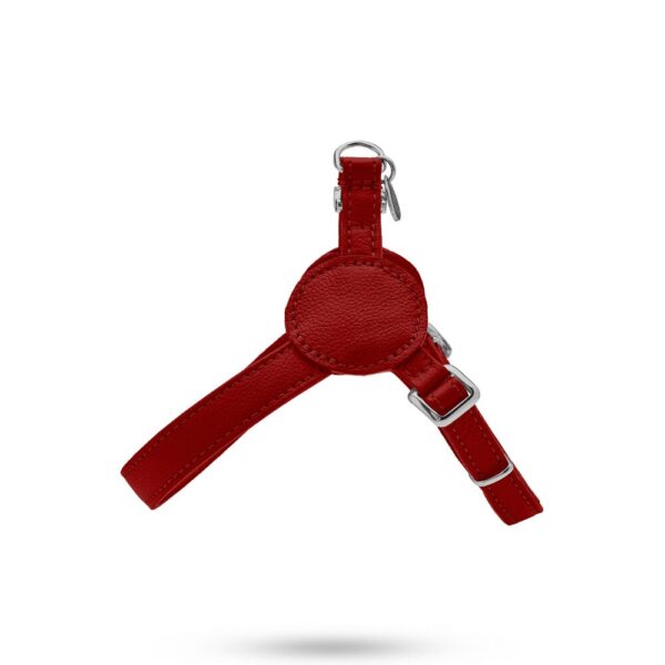 MALUCCHI Geschirr Movie Bordeaux