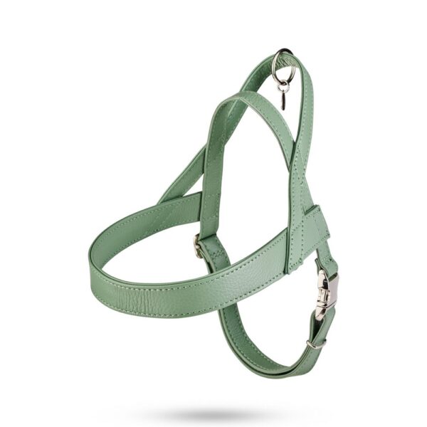 MALUCCHI Halsband Trekker Salvia