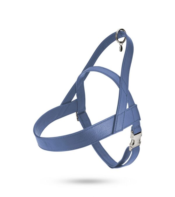 Malucchi Geschirr Movie XXL Stone Blue