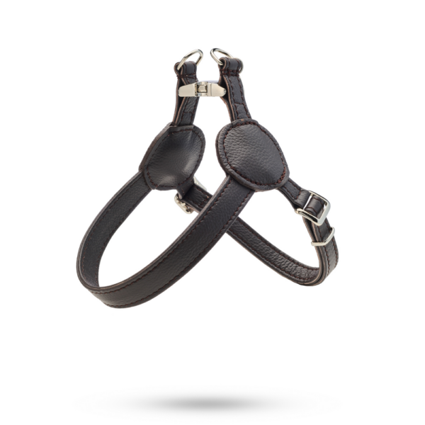 Malucchi Halsband Movie Fango