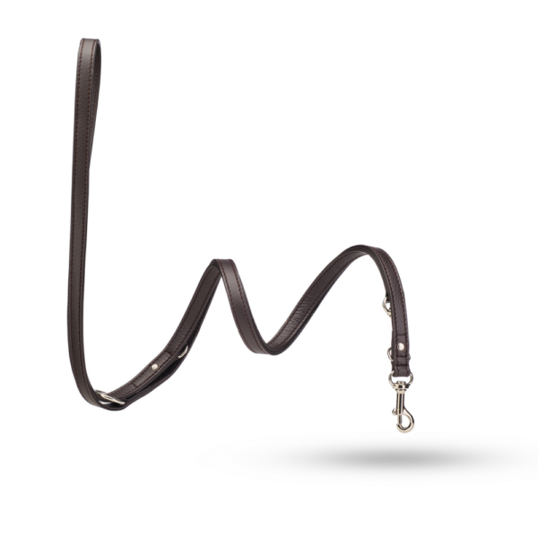 MALUCCHI Geschirr Movie Fango