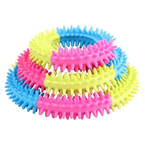 Hundespielzeug Pawise Rainbow World Ring