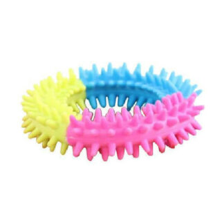 Hundespielzeug Pawise Rainbow World Ring