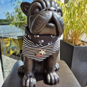 Moo & Marlii Hundehalstuch Rocky