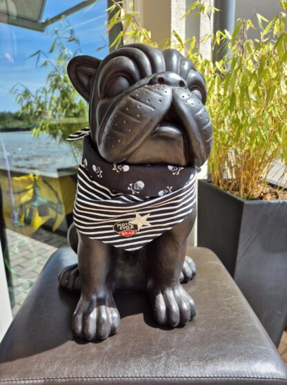 Moo & Marlii Hundehalstuch Rocky