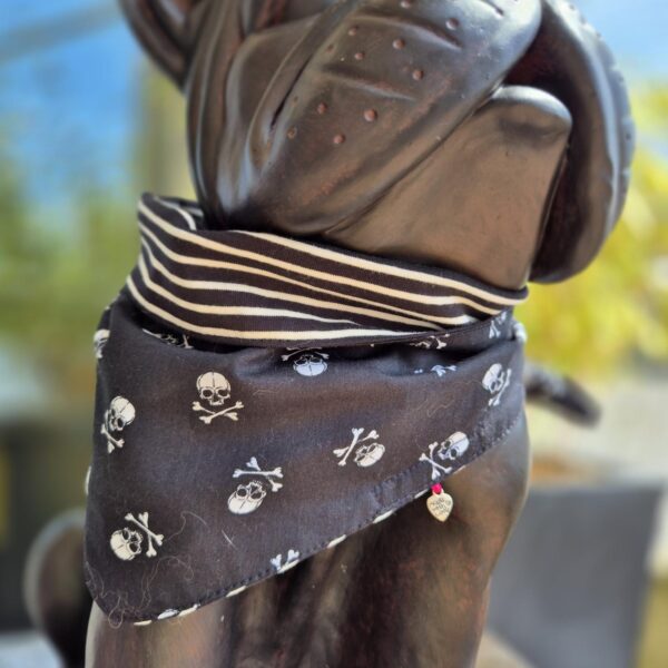 Moo & Marlii Hundehalstuch Rocky