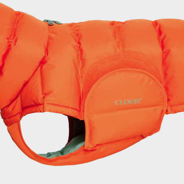 CLOUD7 Hundemantel Alaska Dackel Burnt Orange 2024
