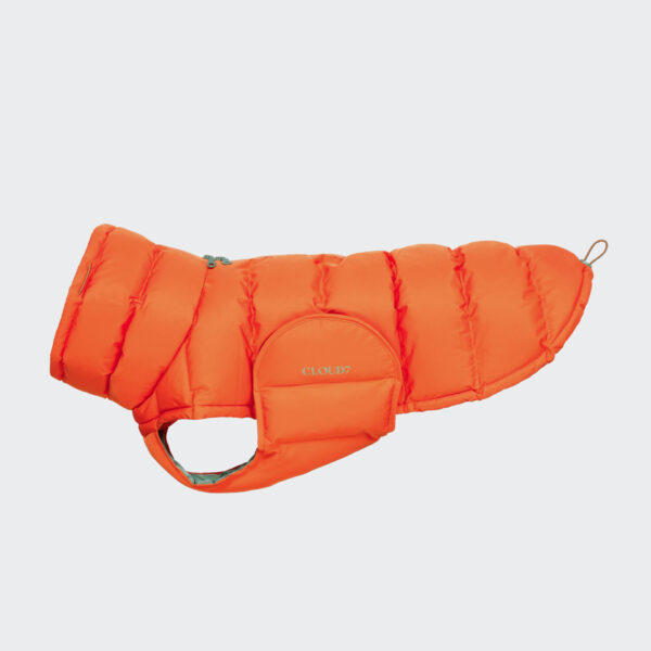 CLOUD7 Hundemantel Alaska Burnt Orange 2024