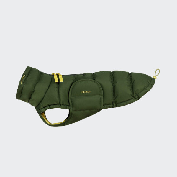 CLOUD7 Hundemantel Alaska Dackel Oliv