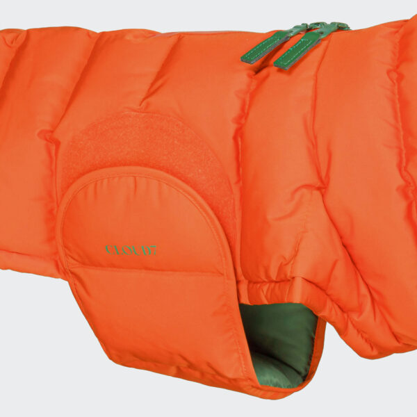 CLOUD7 Hundemantel Alaska Fr. Bulldogge Burnt Orange 2024 – Bild 2