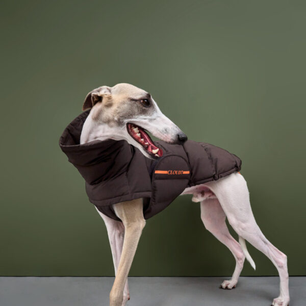 CLOUD7 Windhundemantel Alaska Oliv