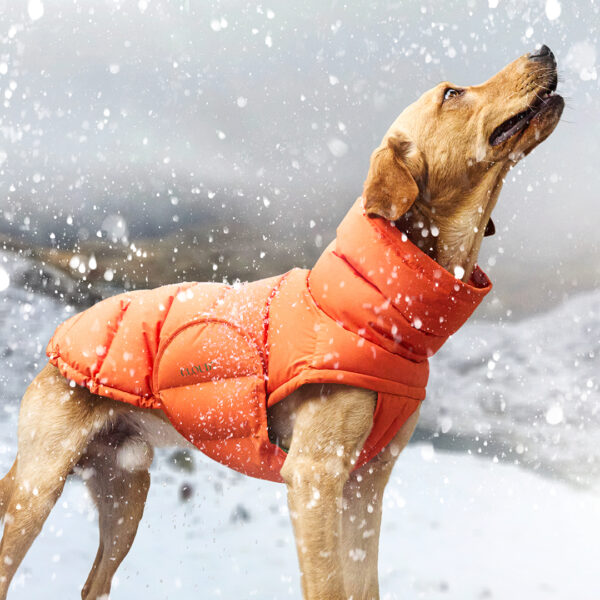 CLOUD7 Hundemantel Alaska Pro Navy – Bild 5