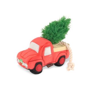 P.L.A.Y.  Home for the Holidays – Truck