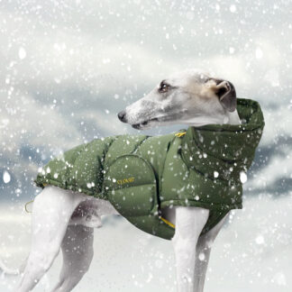 CLOUD7 Windhundemantel Alaska Burnt Orange 2024