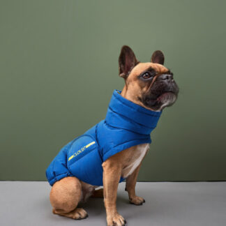 CLOUD7 Hundemantel Alaska Französiche Bulldogge Blue