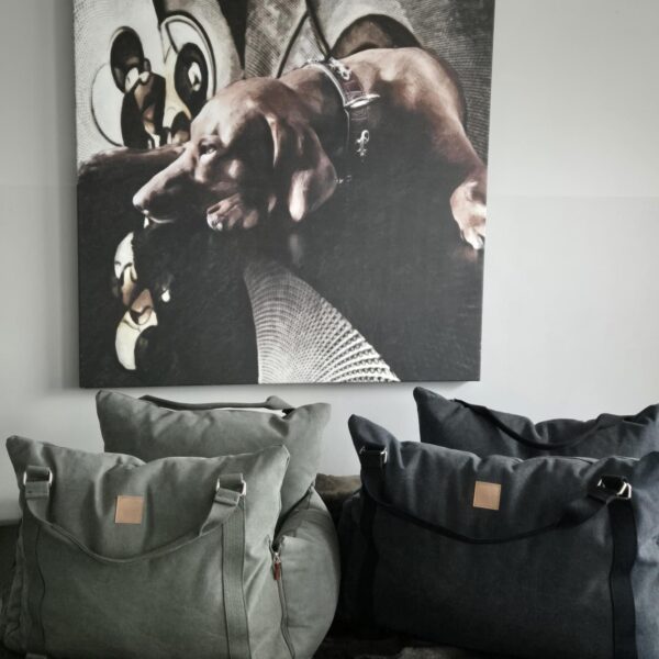 hundewerk Hundeautositz und Reisebett Denim Anthra small