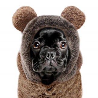 Milk & Pepper Sweat ERNEST Camel Bulldogge