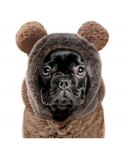 Milk & Pepper Sweat ERNEST Camel Bulldogge – Bild 2