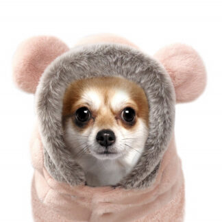 Milk & Pepper Sweat Louisette Rose Bulldogge