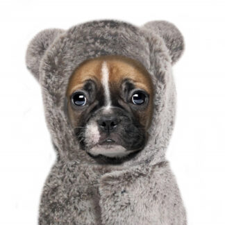 Milk & Pepper Sweat OSCAR Bulldogge