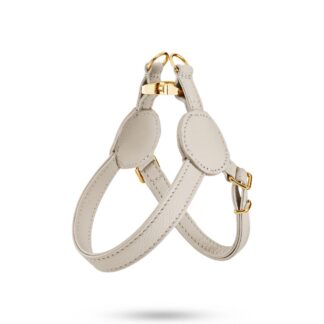 MALUCCHI Geschirr Movie Burro Gold