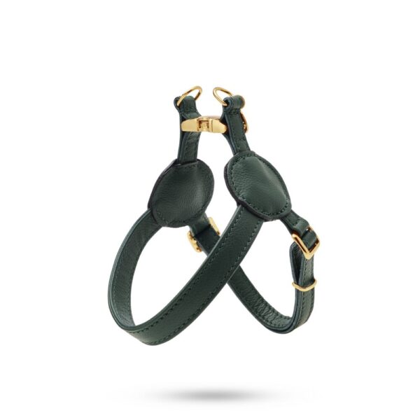 Malucchi Halsband Movie Grün Gold