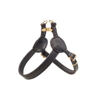 MALUCCHI Hundeleine Movie Cotton Braun Gold