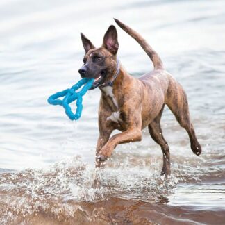 KONG® FLYANGLE™ Schwimmspielzeug