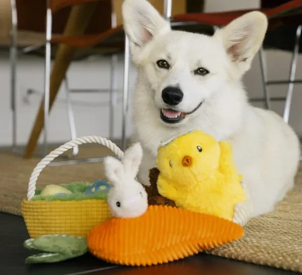 Hundespielzeug P.L.A.Y. Hippity Hoppity Ostern