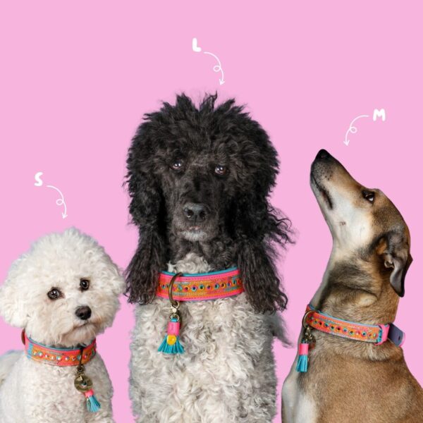 DWAM Halsband Indian Summer