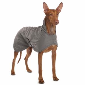 Sofa Dog Wear Hundemantel Garp Grau