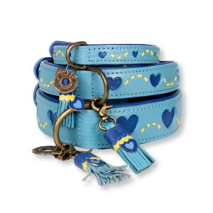 DWAM Halsband Sky