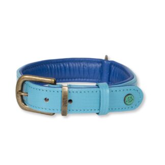 DWAM Halsband Sky
