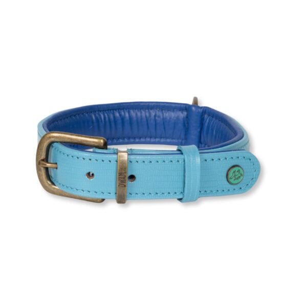 DWAM Halsband Sky – Bild 4