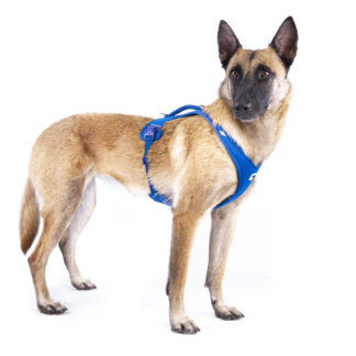 Curli Belka Geschirr Air Mesh Blau