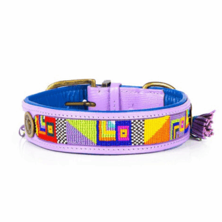 DWAM Halsband ColorPop